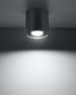 Ceiling lamp ORBIS 1 anthracite + 1x LED Bulb GU-10 3000K Warm White 7W 620lm