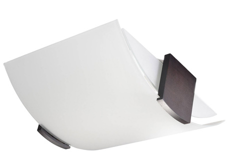 Ceiling lamp EMILIO + 2x LED Bulb E27 3000K Warm 7.5W 620lm