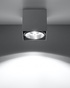 Ceiling lamp BLAKE gray + 1x LED Bulb GU10 AR111 4000K COOL 10W 850lm