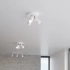 Ceiling lamp RING 3P white