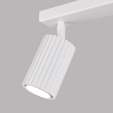 Ceiling lamp KARBON 2 white