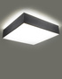 Ceiling lamp HORUS 25 GRAY + 1x LED Bulb E27 4000K Cool White 7.5W 650lm