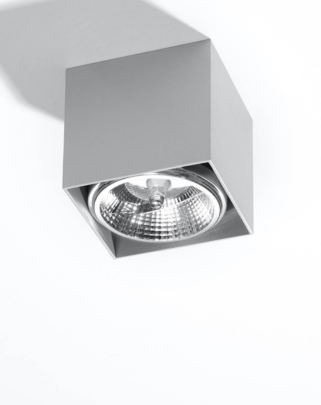 Ceiling lamp BLAKE gray + 1x LED Bulb GU10 AR111 4000K COOL 10W 850lm