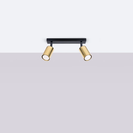 Ceiling lamp WINX 2 black/gold