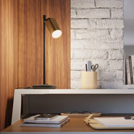 Ceiling lamp WINX 2 black/gold