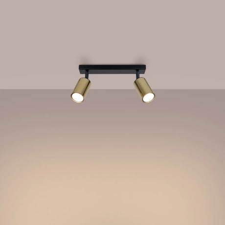 Ceiling lamp WINX 2 black/gold