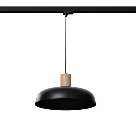 Pendant lamp INDY black E27