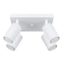 Ceiling lamp KARBON 4 white