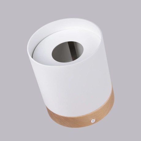 Ceiling lamp RIF white