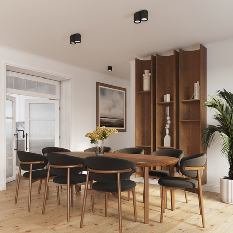 Ceiling lamp AURA 1 black GU10