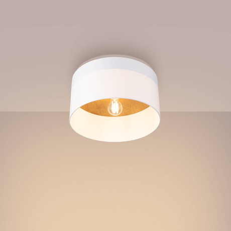 Ceiling lamp TELESTO white/light brown + 1x LED Bulb E27 4000K Cool White 7.5W 690lm
