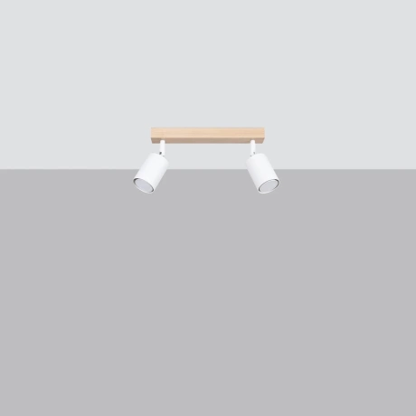 Ceiling lamp VERDO 2 white