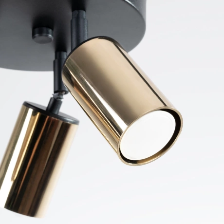 Ceiling lamp WINX 3P black/gold