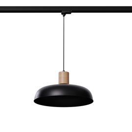 Pendant lamp INDY black E27