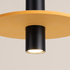 Pendant lamp PELTA 1 black/yellow