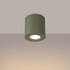 Ceiling lamp ORBIS concrete olive green