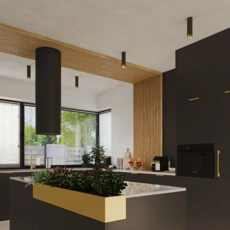 Ceiling lamp NERO 12,5 black/gold