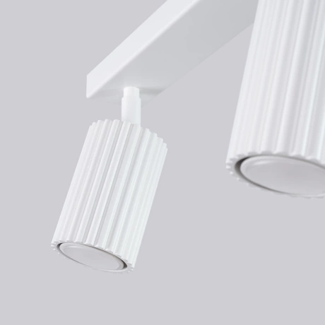 Ceiling lamp KARBON 4L white