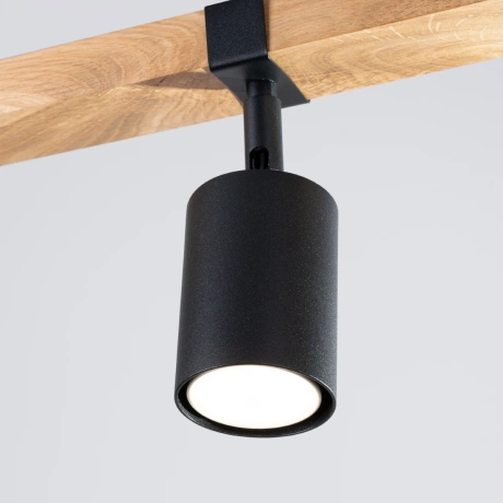 Ceiling lamp FAGER 3 black