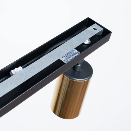 Ceiling lamp WINX 2 black/gold