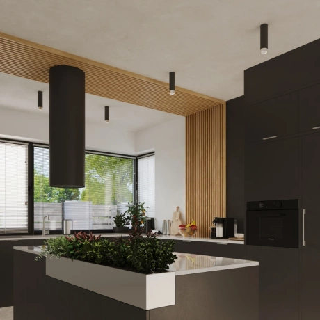 Ceiling lamp NERO 22,5 black/chrom