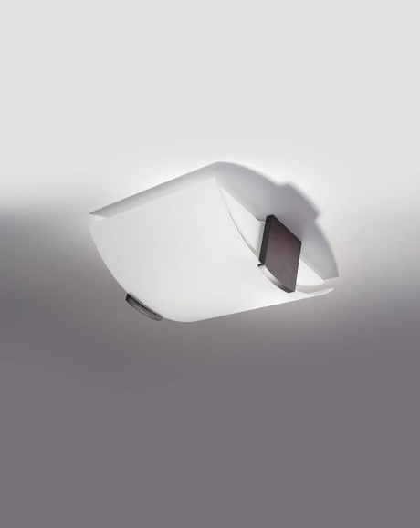 Ceiling lamp EMILIO + 2x LED Bulb E27 4000K Cool White 7.5W 650lm