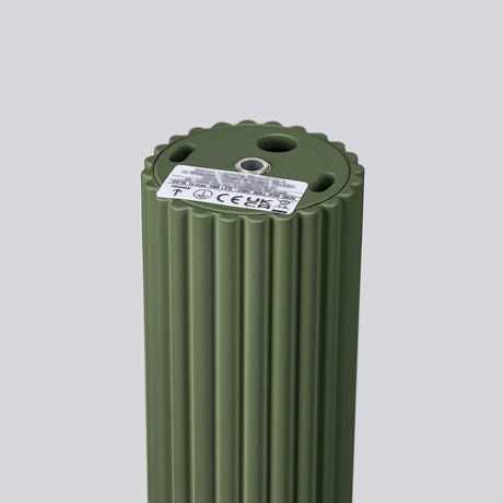 Ceiling lamp KARBON 60 olive green