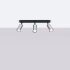 Ceiling lamp WINX 3 black/chrome