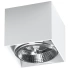 Ceiling lamp BLAKE white