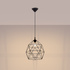 Pendant lamp TRIOM 30 black
