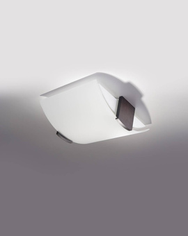 Ceiling lamp EMILIO + 2x LED Bulb E27 4000K Cool White 7.5W 650lm