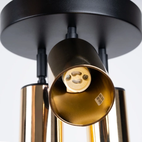 Ceiling lamp WINX 3P black/gold