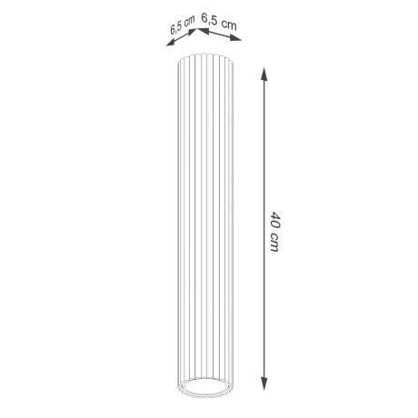 Ceiling lamp KARBON 40 black