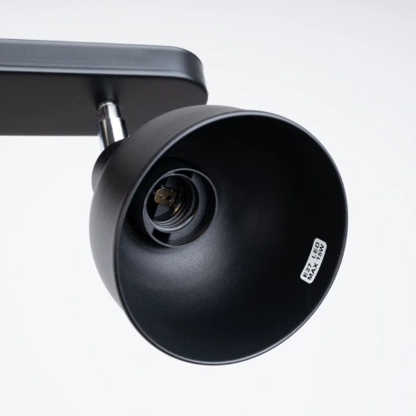 Ceiling lamp ELBA 2 black