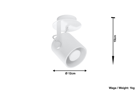 Plafond LAROSA 1 white