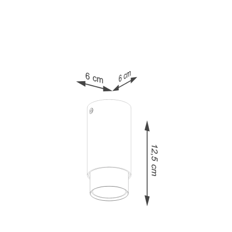 Ceiling lamp NERO 12,5 black/chrom