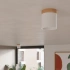 Ceiling lamp RIF white