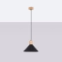 Pendant lamp JAGA black