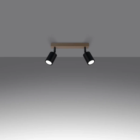 Ceiling lamp VERDO 2 black