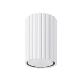 Ceiling lamp KARBON 10 white