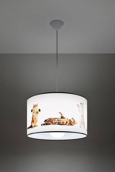 Ceiling lamp CATS 40 + 1x LED Bulb E27 3000K Warm 7.5W 620lm