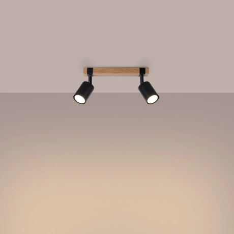 Ceiling lamp FAGER 2 black