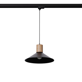 Pendant lamp JAGA black E27